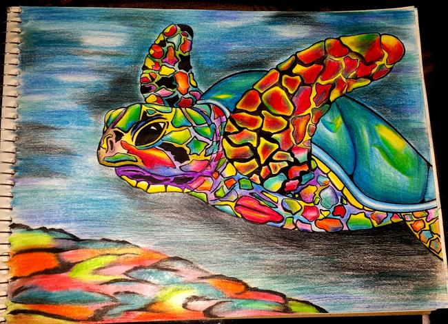 Sea Turtle