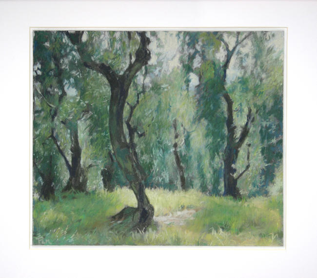 Olive trees