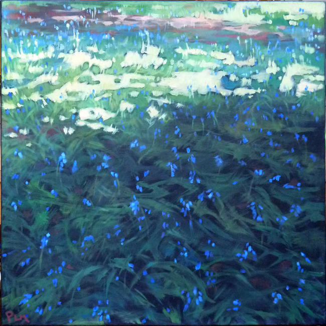 Bluebells, Ayot St Peter