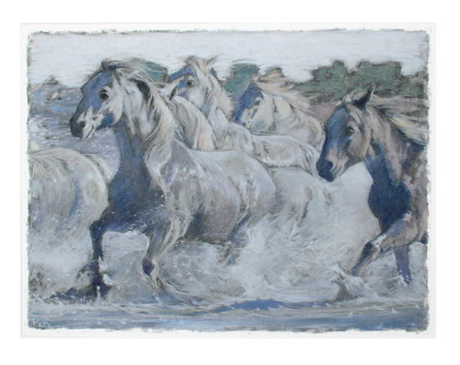 Camargue horses