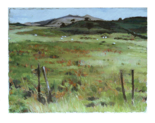 Welsh field