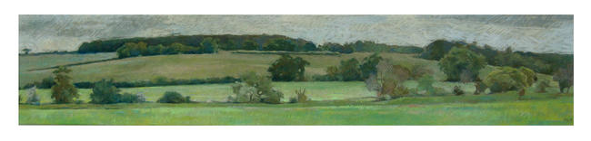 Walkern fields, nr Stevenage