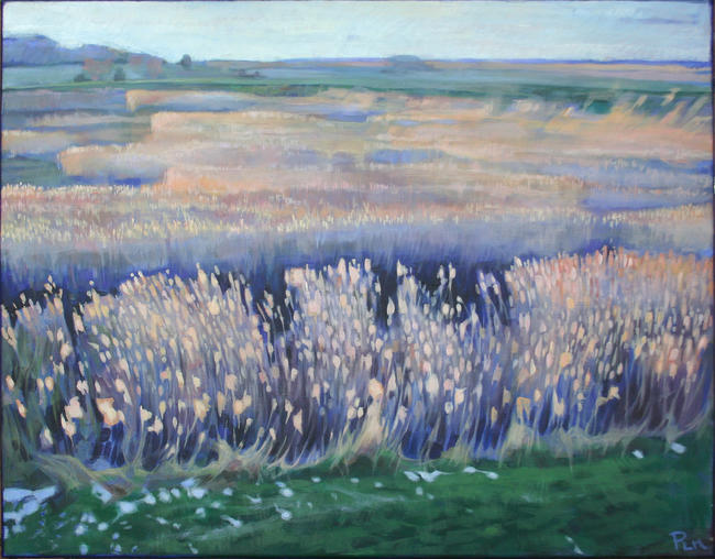 Reed beds, Cley next the Sea
