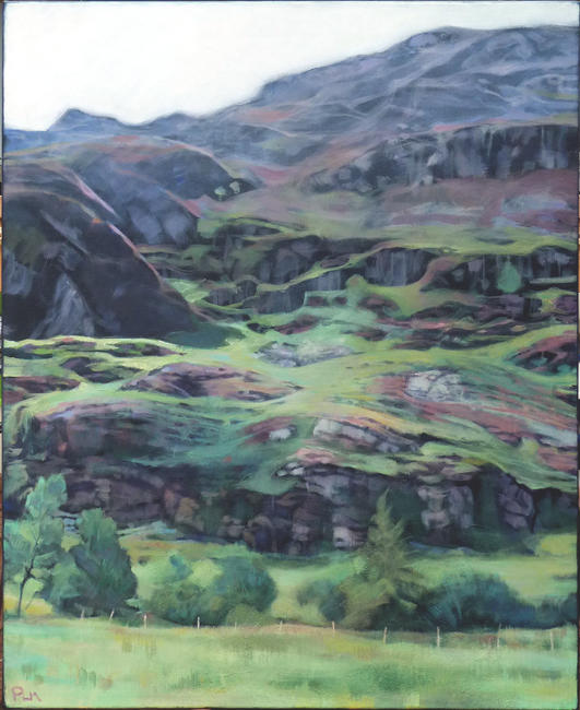 Welsh hillside