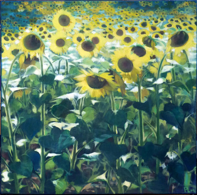 Sunflowers