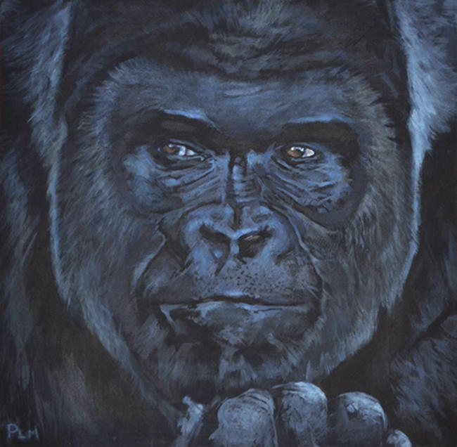 Shabani