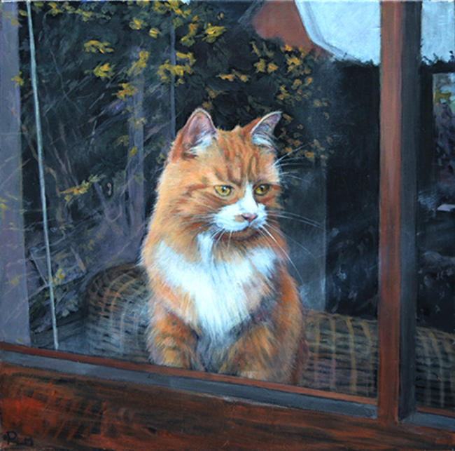 Neighbourhood watch