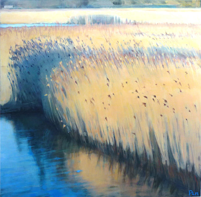 Cley marshes, Norfolk