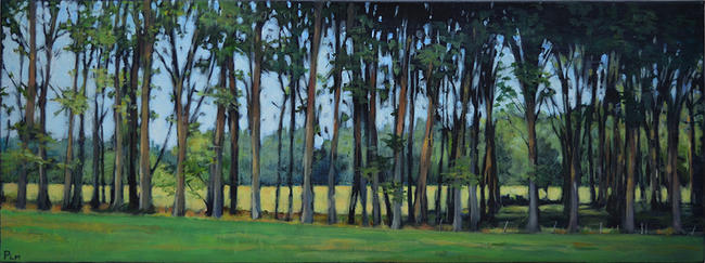 Avenue of trees, Monestier, France