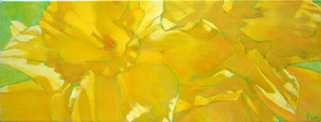 Daffodils