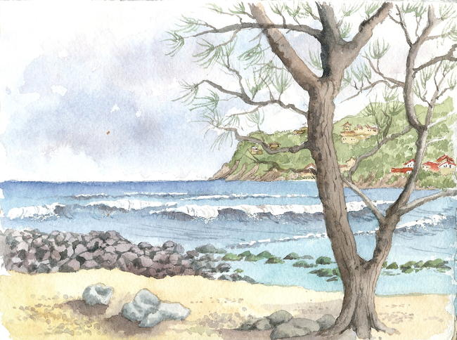 Pigeon Island,St.Lucia