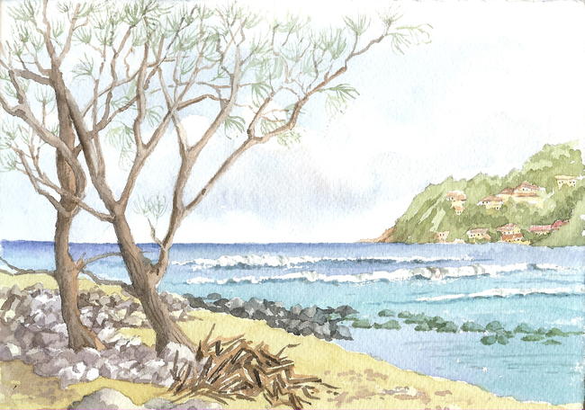 Pigeon Island 2