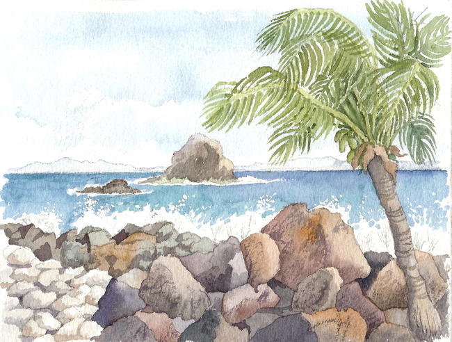 Pigeon Island 3