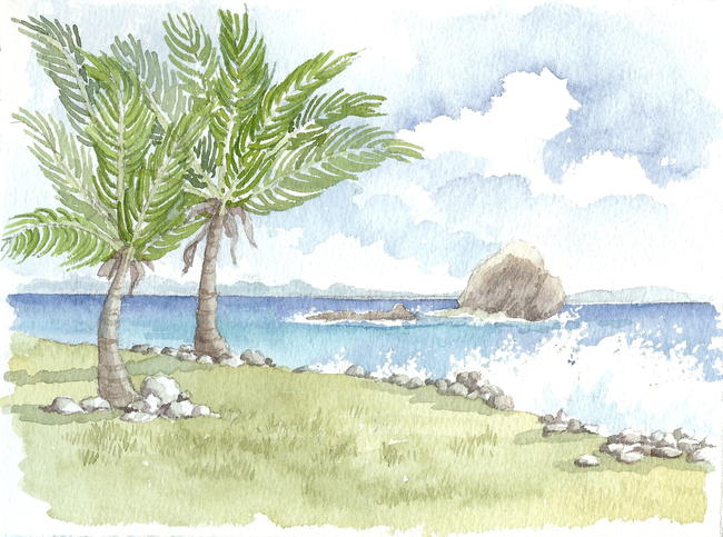 Pigeon Island 4