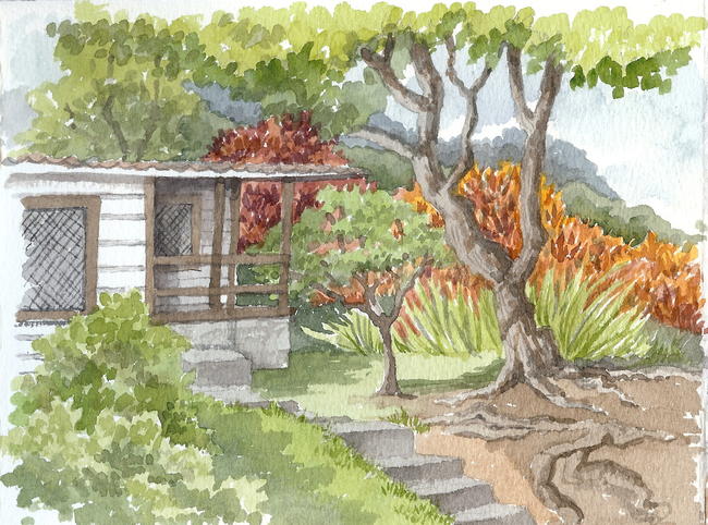 Local Home,Castries