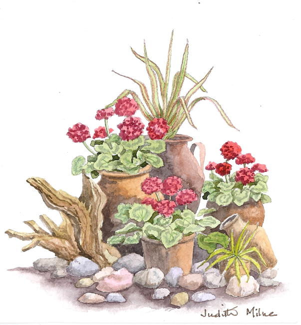 Pots driftwood