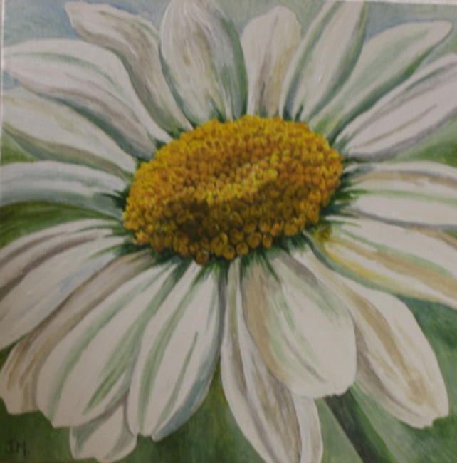 Daisy Head