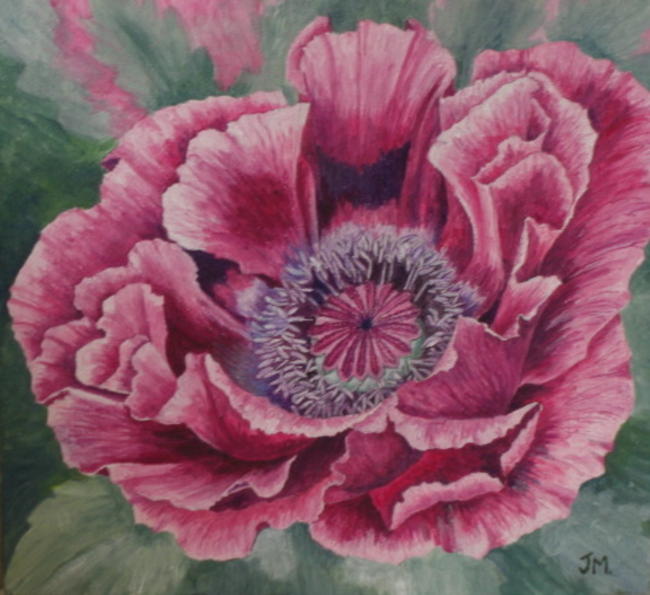 Poppy Head