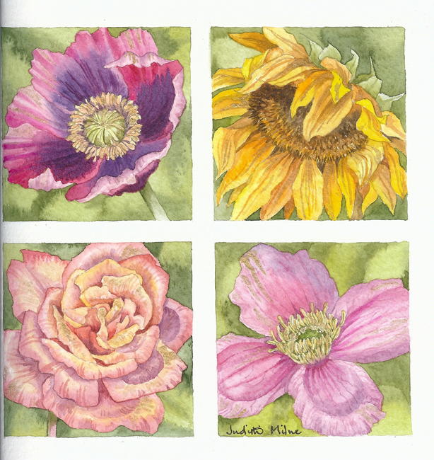 Summer Blooms
