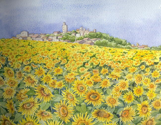 Sunflower Field