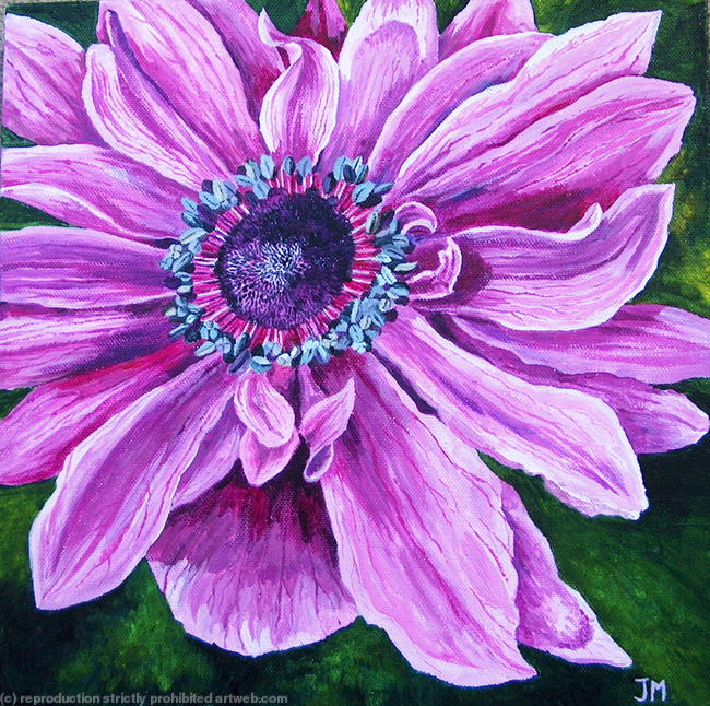 anemone