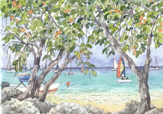 Mango Bay2, Barbados