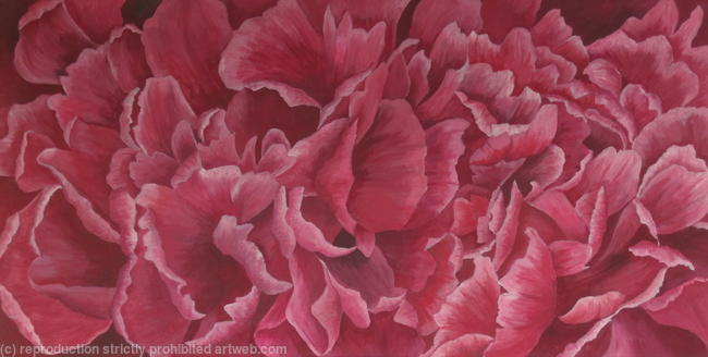 peony-petals-001