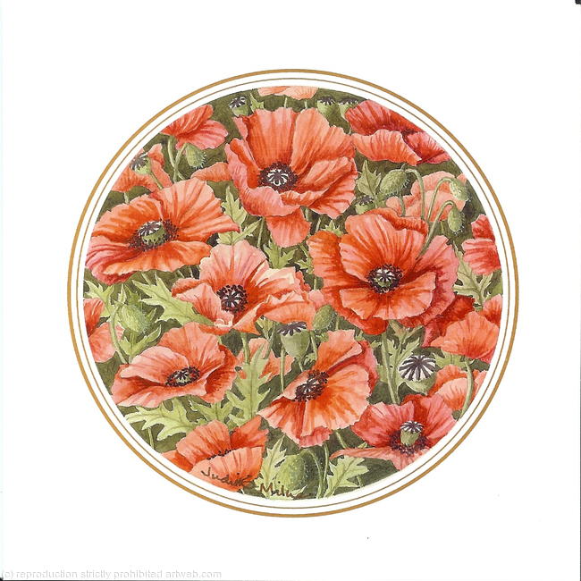 Poppies
