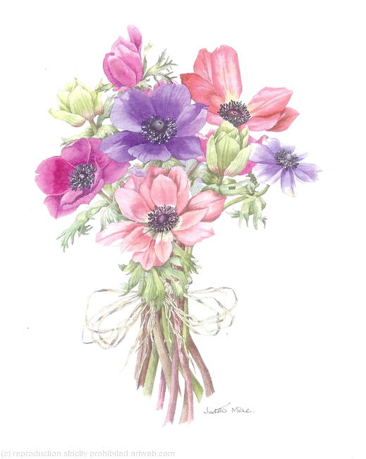 Anemone Bunch