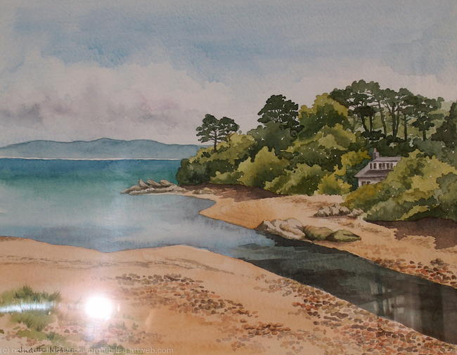 Cottage on the Shore - 907