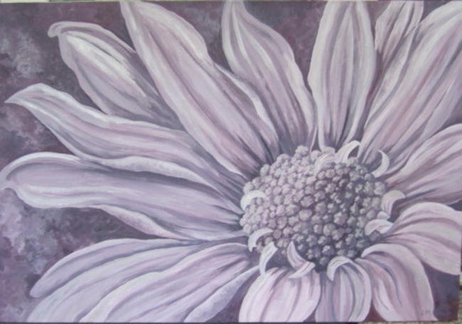 Daisy 1
