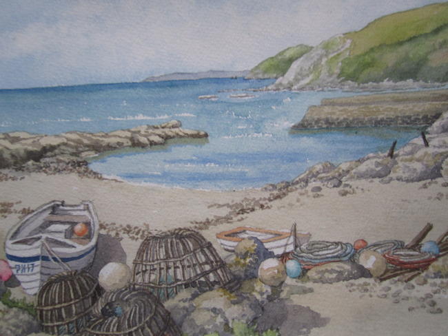 Devon cove