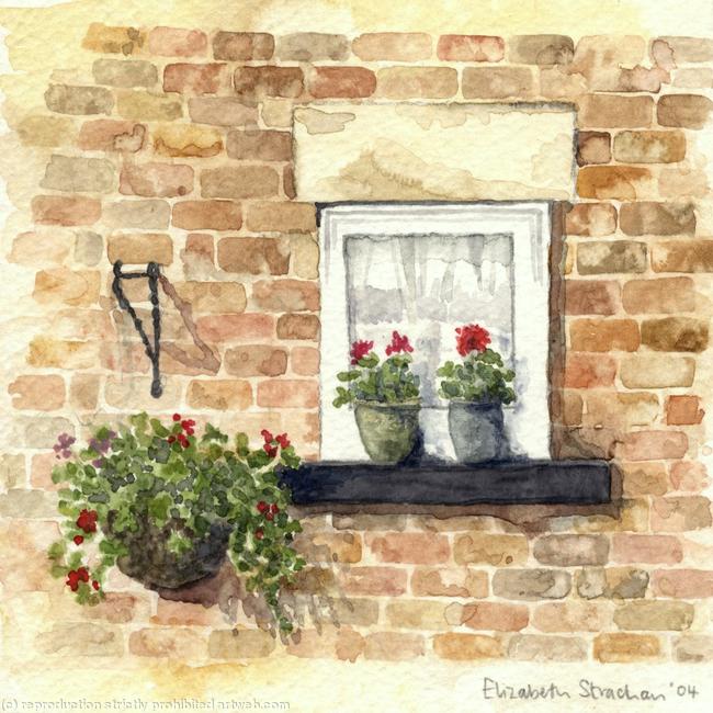 Back Yard Window