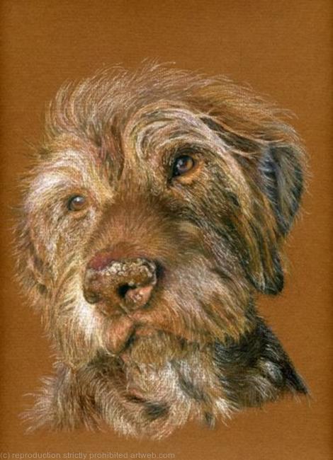 Winston