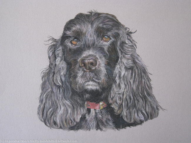 Smudge