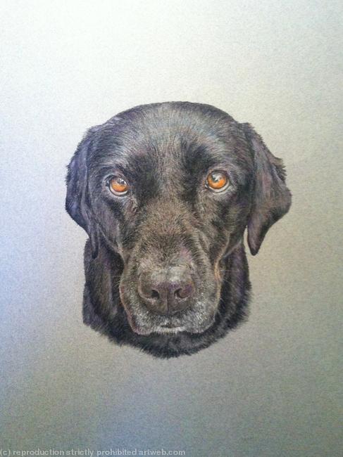 Mollie