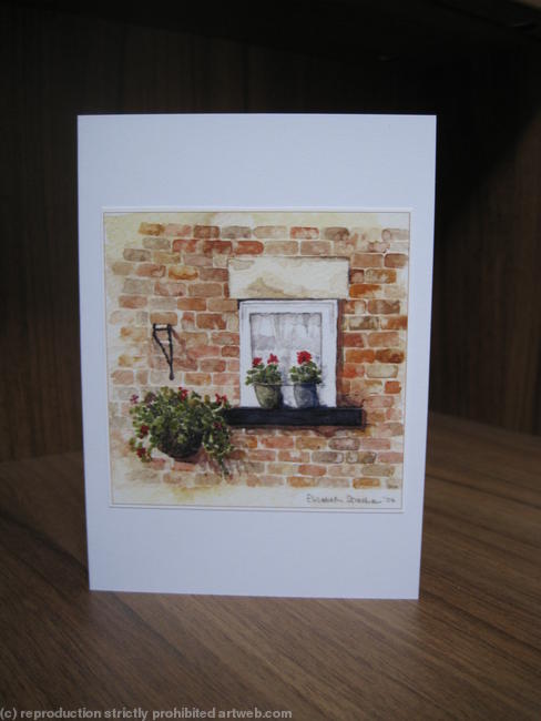 Geranium Window