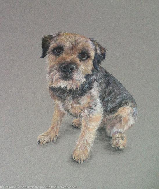 Toby