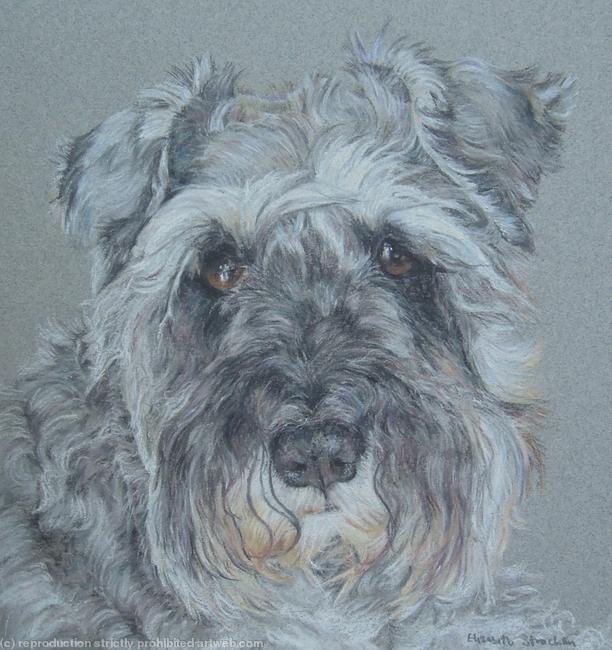 Mollie