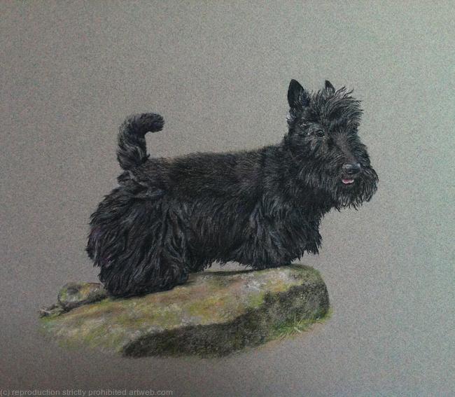 Alfie