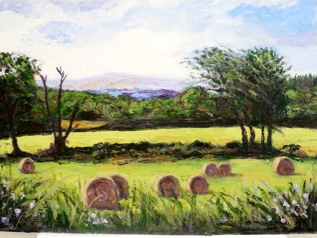 View from the window