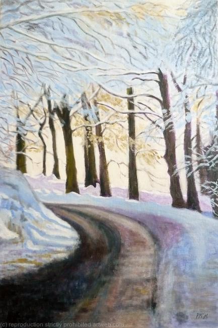 Lakeside road in snow