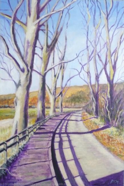 The walk from Gattonside to Melrose in winter, The Scottish Borders