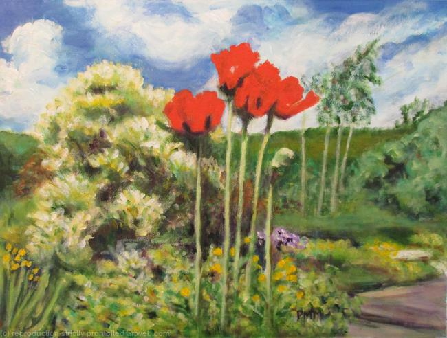 Poppies on a Windy Day