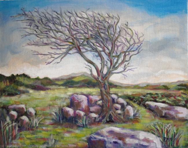 Where Sheep Roam