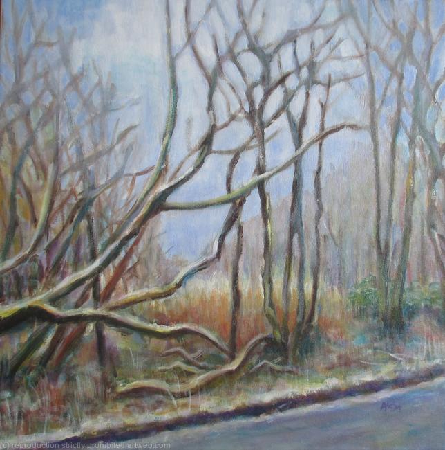 Deep Frost with Snow Approaching