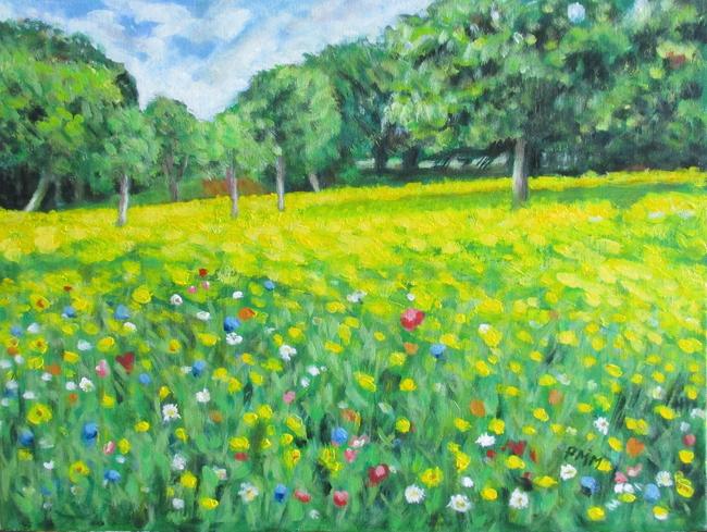Wildflower Meadow