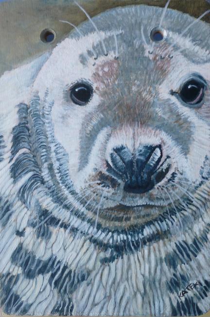 Grey Seal