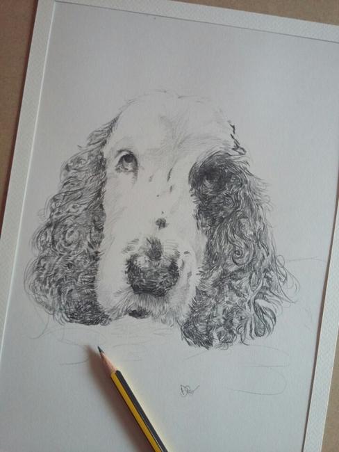 From £70 for an A4 portrait