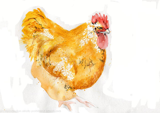 Orpington Chicken